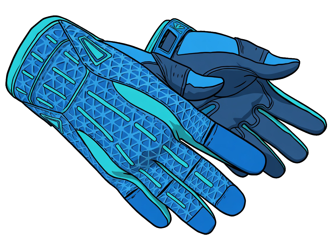Gloves